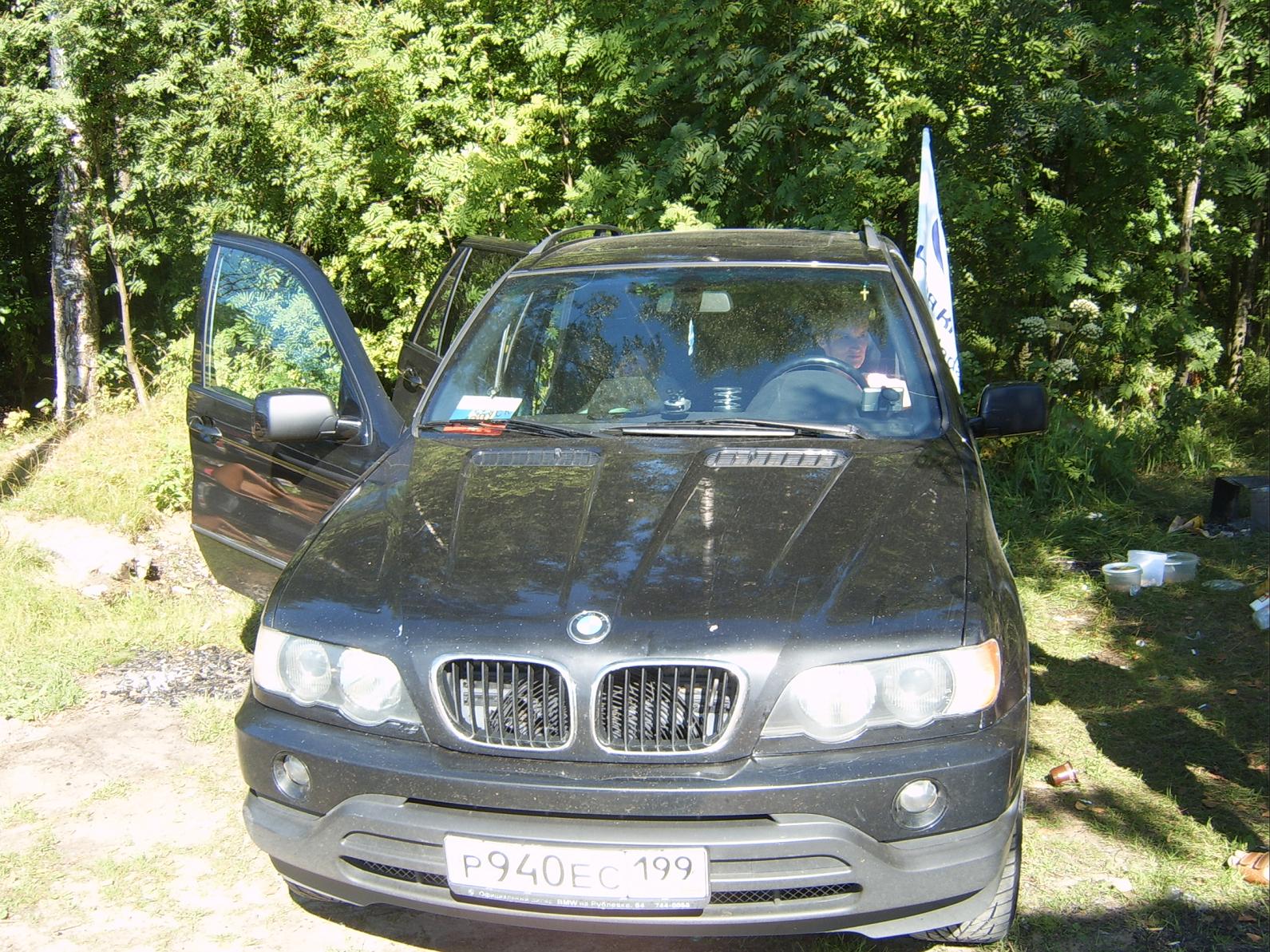 31  -