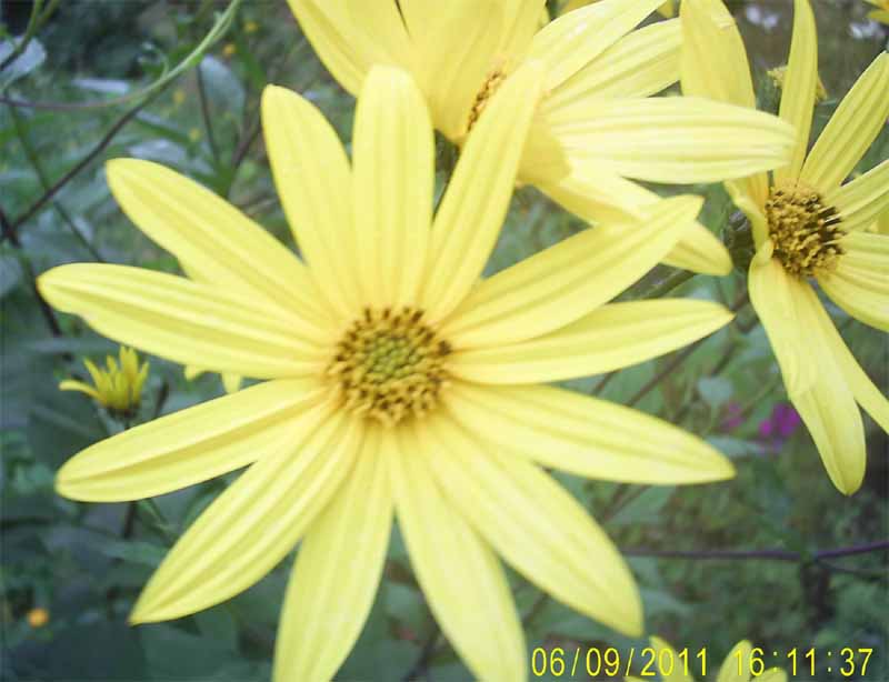 Ƹ 