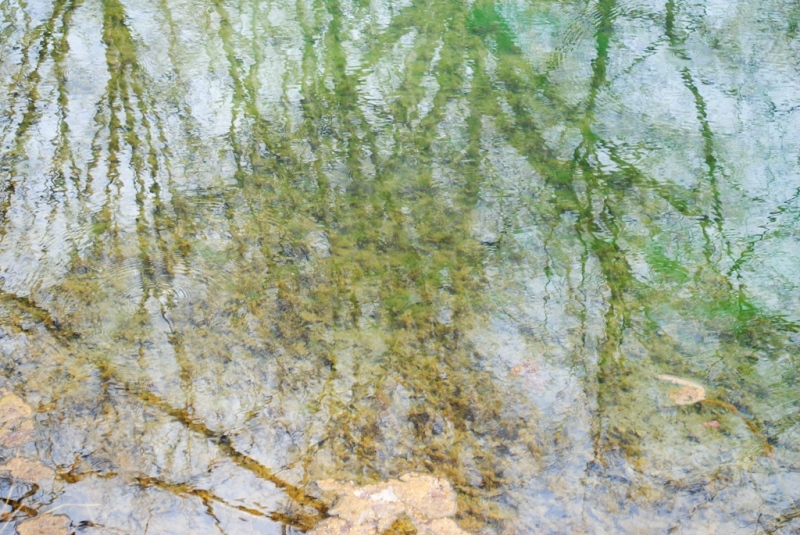 Dsc 0034